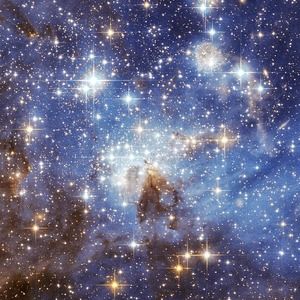 Meet your Posher, K.